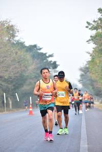 BIB: 42329
                            <button type="button" onclick="openModal(10135150)" class="btn btn-primary btn-sm float-right btn-popup" data-toggle="modal" data-target=".modal-high-quality">
                        <i class="fas fa-shopping-cart"></i> Add to Cart
                    </button>
                                            <button type="button" onclick="isThisMe(10135150, true)" class="btn btn-success btn-sm float-right btn-popup btn-isme hidden" data-toggle="tooltip" data-placement="bottom" title="นี่คือรูปของคุณใช่ไหม คลิกที่นี่เพื่อเอาเข้าอัลบั้ม">
                        <i class="fas fa-plus"></i> Add to album
                    </button>
                    <button type="button" onclick="isThisMe(10135150, false)" class="btn btn-warning btn-sm float-right btn-popup btn-isnotme hidden">
                        <i class="fas fa-ban"></i> Remove from album
                    </button>